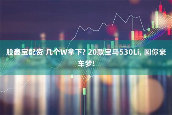 股鑫宝配资 几个W拿下? 20款宝马530Li, 圆你豪车梦!