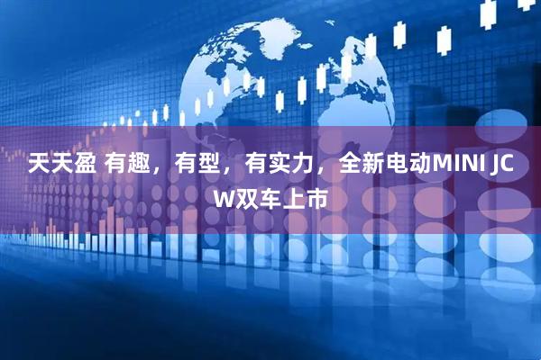 天天盈 有趣，有型，有实力，全新电动MINI JCW双车上市