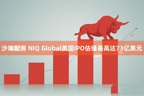 沙瑞配资 NIQ Global美国IPO估值最高达73亿美元