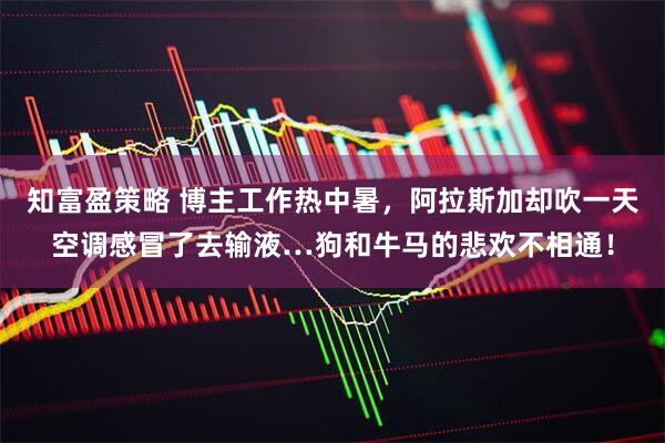 知富盈策略 博主工作热中暑，阿拉斯加却吹一天空调感冒了去输液…狗和牛马的悲欢不相通！