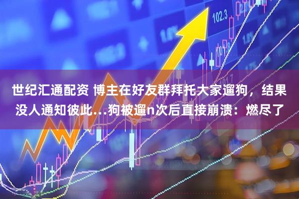 世纪汇通配资 博主在好友群拜托大家遛狗，结果没人通知彼此…狗被遛n次后直接崩溃：燃尽了