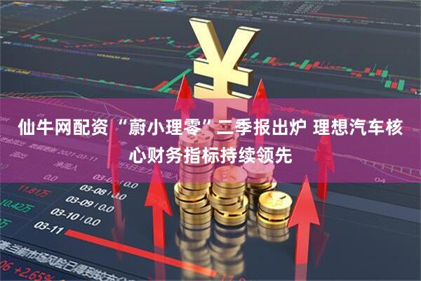 仙牛网配资 “蔚小理零”二季报出炉 理想汽车核心财务指标持续领先