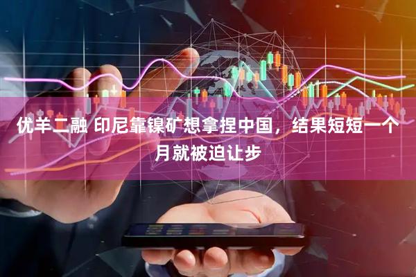 优羊二融 印尼靠镍矿想拿捏中国，结果短短一个月就被迫让步
